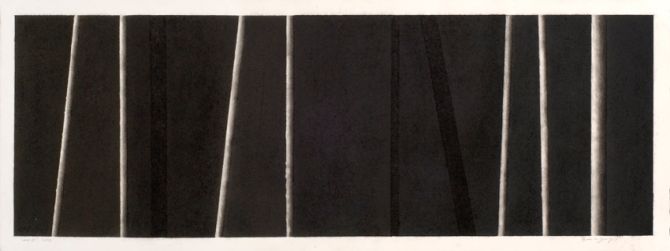 Night Forest